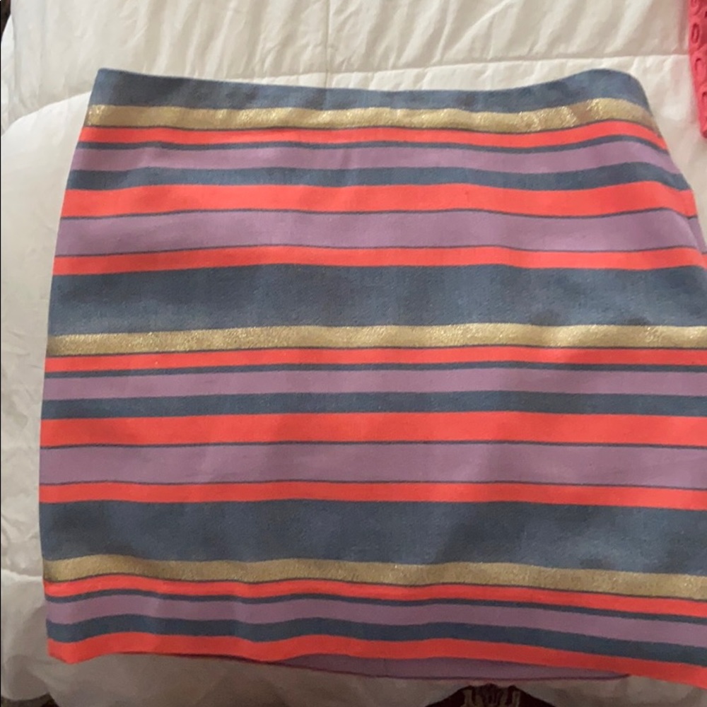 J Crew Skirt